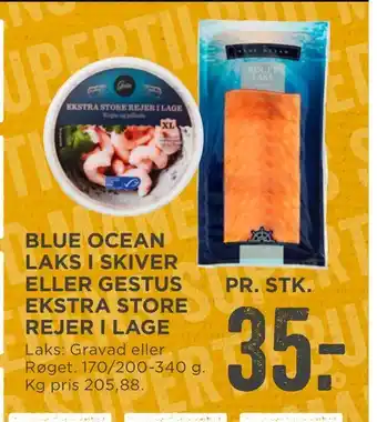 Blue ocean laks i skiver eller gestus ekstra store rejer i lage