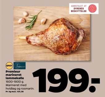 Netto Premieur marineret lammekølle tilbud