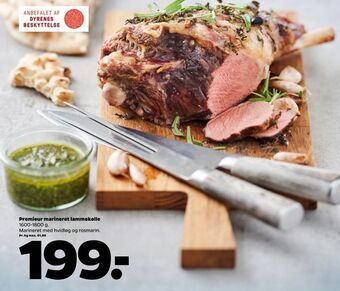Netto Premieur marineret lammekølle tilbud