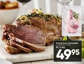 Bilka Princip fersk lammekølle tilbud