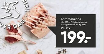 Bilka Lammekrone tilbud