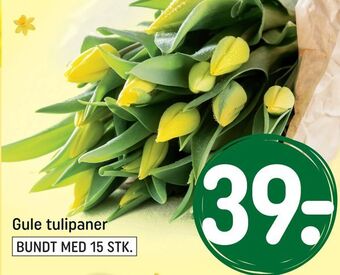 REMA 1000 Gule tulipaner tilbud