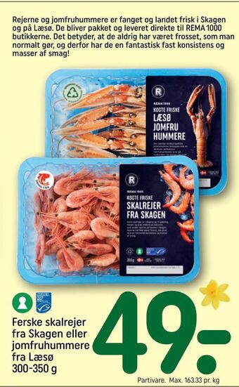 REMA 1000 Ferske skalrejer fra Skagen eller jomfruhummere fra Læsø tilbud