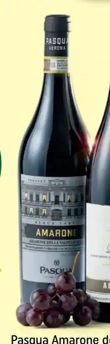 REMA 1000 Pasqua Amarone della Valpolicella DOC Italiensk, 75 cl tilbud
