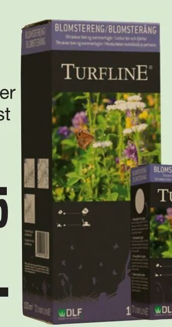 Harald Nyborg Blomstereng tilbud
