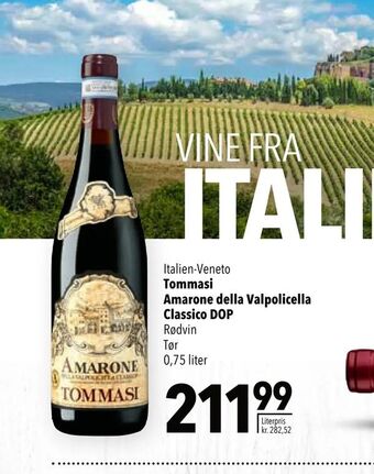 Tommasi Amarone della Valpolicella Classico DOP