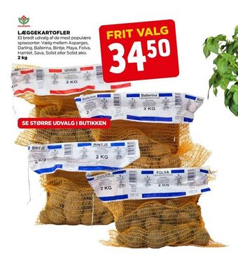 jem & fix Læggekartofler tilbud