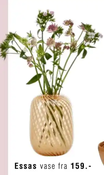 Ilva Essas vase tilbud