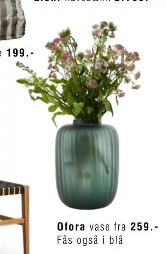 Ilva Ofora vase tilbud