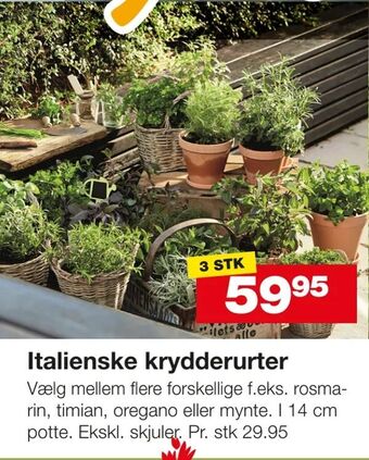 Bauhaus Italienske krydderurter tilbud