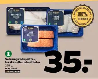 Netto Velsmag rødspætte-, torske- eller laksefileter tilbud