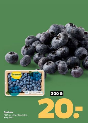 Netto Blåbær tilbud