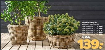 Netto Potte i kraftig pil tilbud