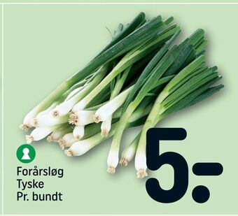 REMA 1000 Forårsløg Tyske tilbud