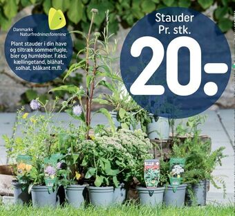 REMA 1000 Stauder tilbud