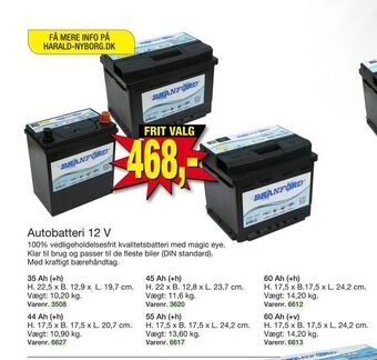 Harald Nyborg Autobatteri 12 V tilbud