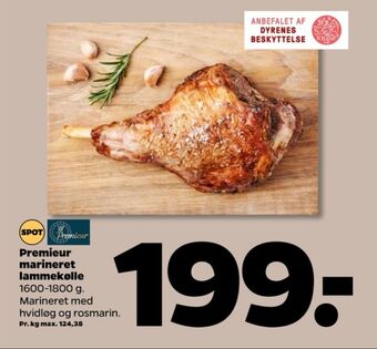 Netto Premieur lammekølle tilbud
