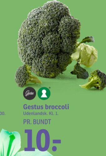 SPAR Gestus broccoli tilbud