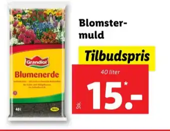 Lidl Grandiol blomstermuld tilbud
