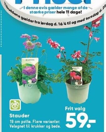Bilka Stauder tilbud