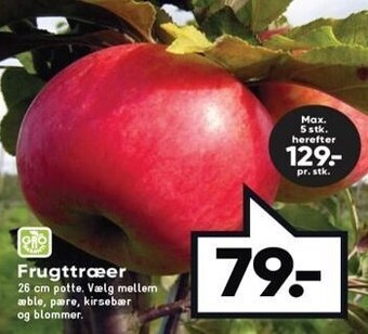 Frugttræer