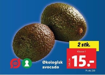 Lidl Økologisk avocado tilbud