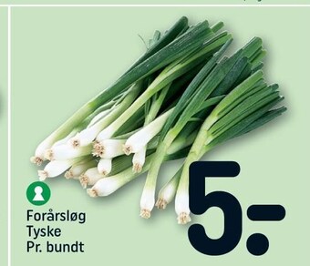 REMA 1000 Forårsløg tilbud