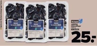 Netto Blåmuslinger tilbud