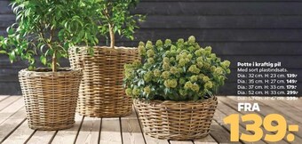Netto Potte i kraftig pil tilbud