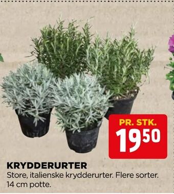 jem & fix Krydderurter tilbud