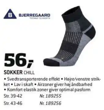 Sokker Chill