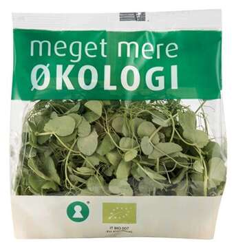 REMA 1000 Øko. ærteskud salat, 50 g tilbud
