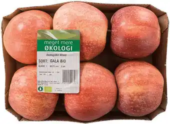 Øko. æbler i bk., 1 ct