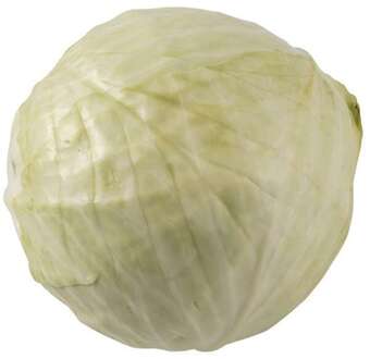 Hvidkål, 0.5 kg