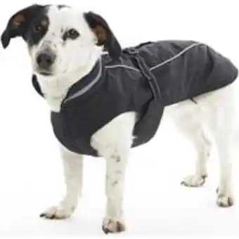 BUSTER Vinter jakke sort XS