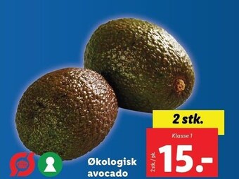 Lidl Økologisk avocado tilbud
