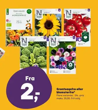 Grøntsagsfrø eller blomsterfrø