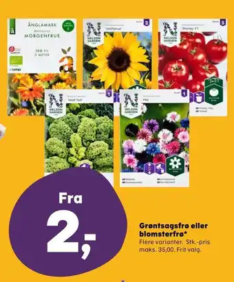 Grøntsagsfrø eller blomsterfrø