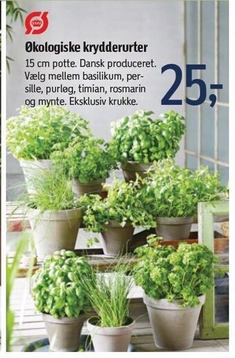 Føtex Økologiske krydderurter tilbud