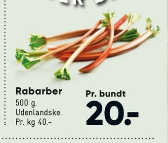 Rabarber