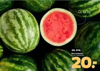 Netto Mini vandmelon tilbud