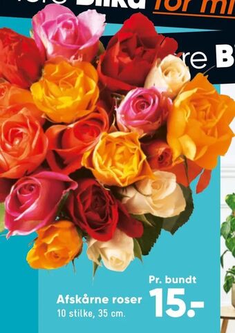 Bilka Afskårne roser tilbud