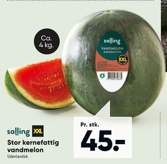 Bilka Stor kernefattig vandmelon tilbud