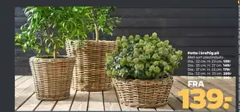 Netto Solid kurv tilbud
