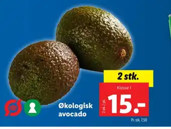Lidl Tastino avocado tilbud