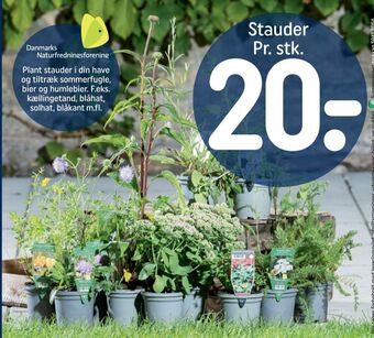 REMA 1000 Rema 1000 planter tilbud