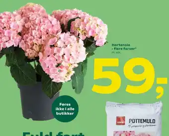 Coop 365 Coop planter tilbud