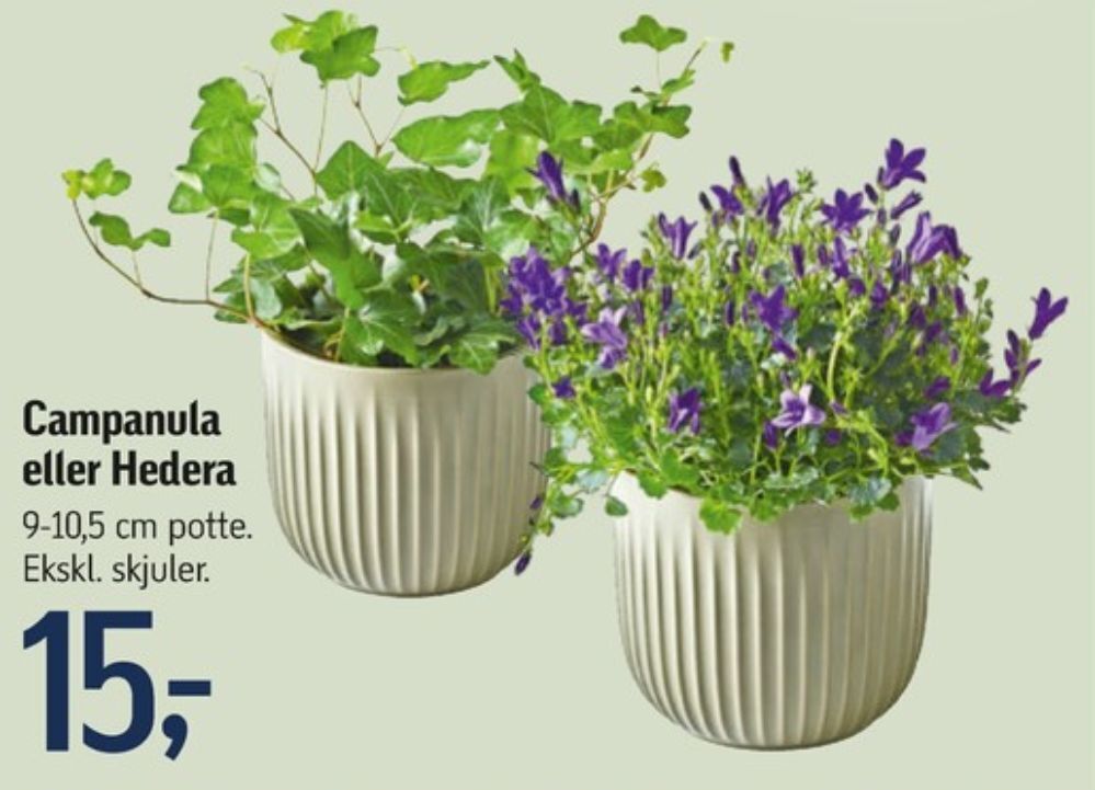 Dunlop planter tilbud hos Føtex