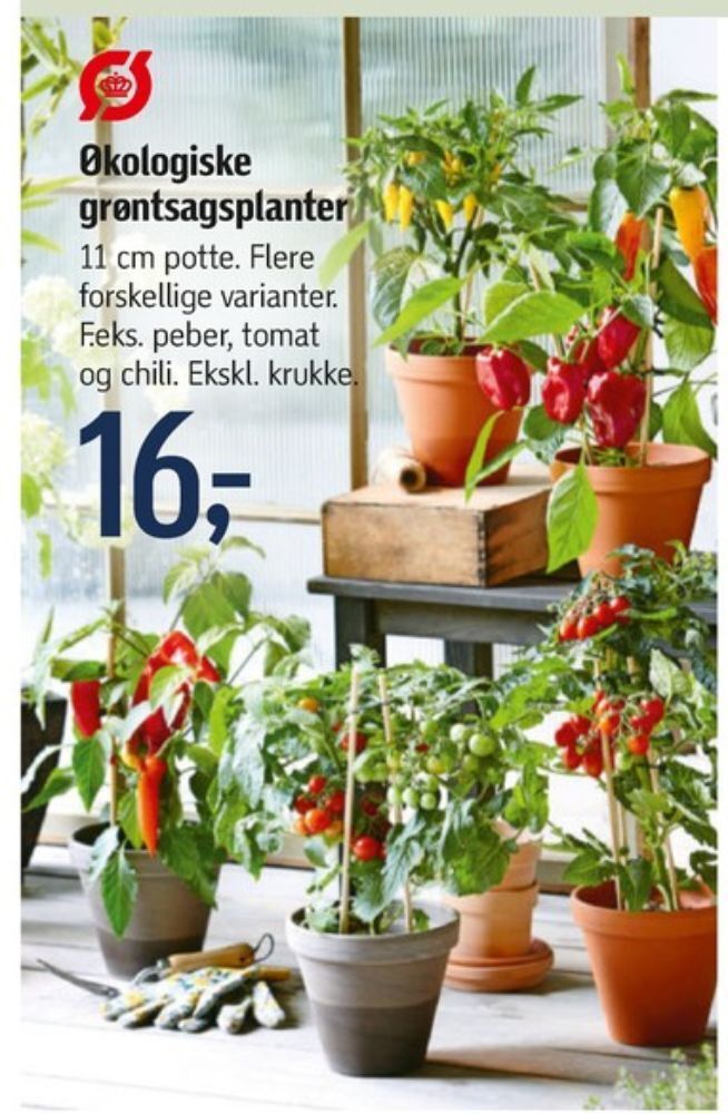 Dunlop planter tilbud hos Føtex