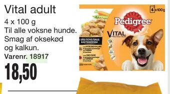 Vital adult